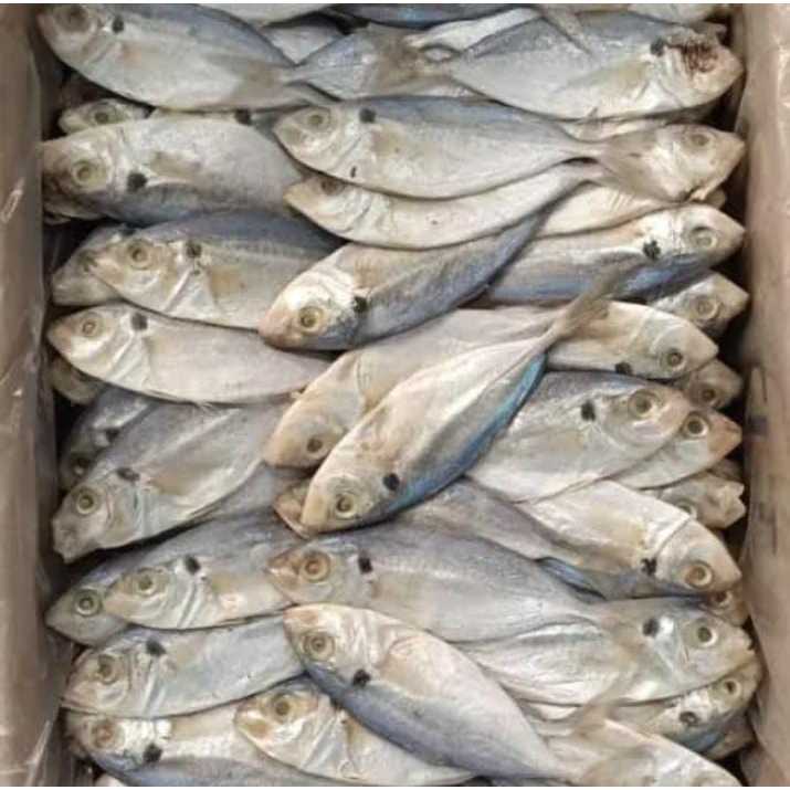 

ikan asin selar TERMURAH/COD bayar di tempat