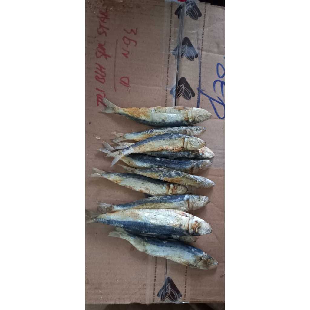 

ikan asin japuh balitung TERMURAH/COD bayar di tempat