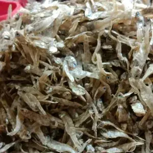 

IKAN TERI TAWAR KEMBANG 100gram
