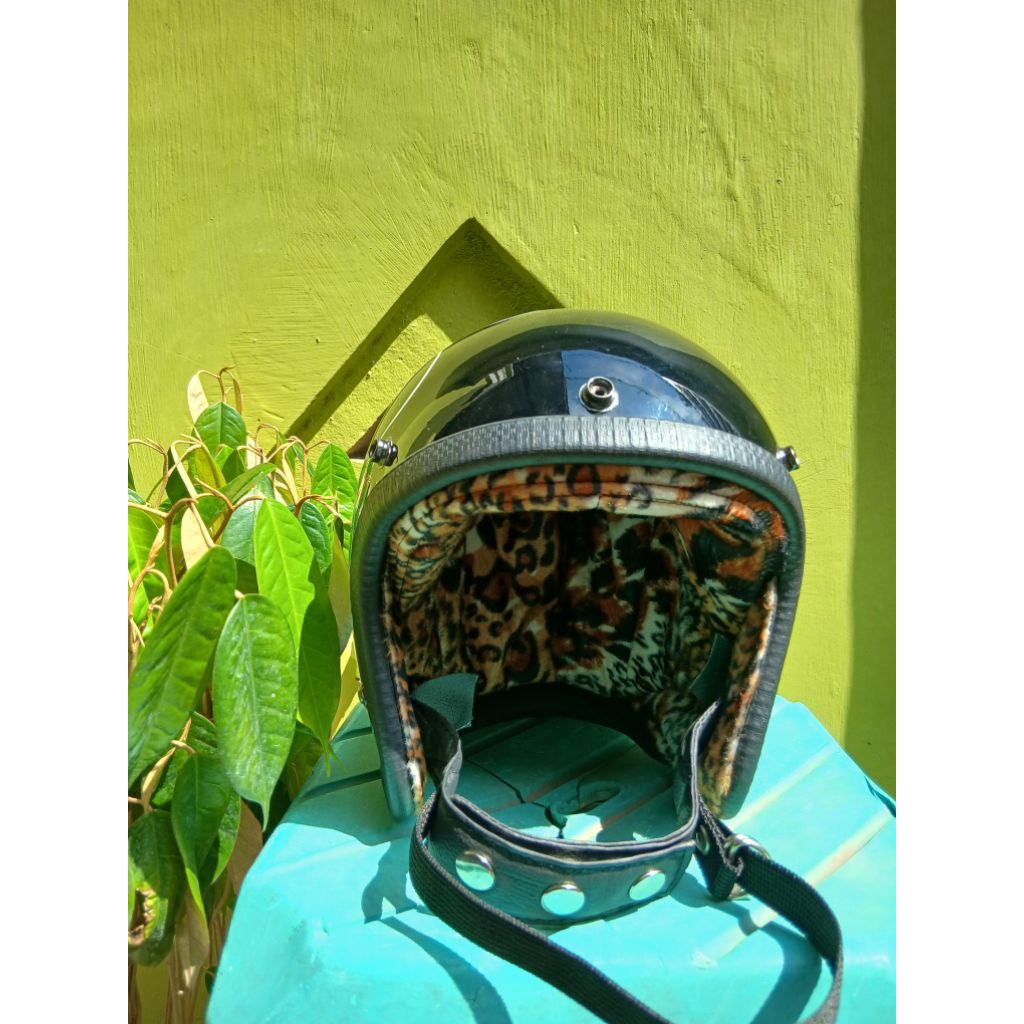 HELM SLIM HEAD MOTIF API (free pet)