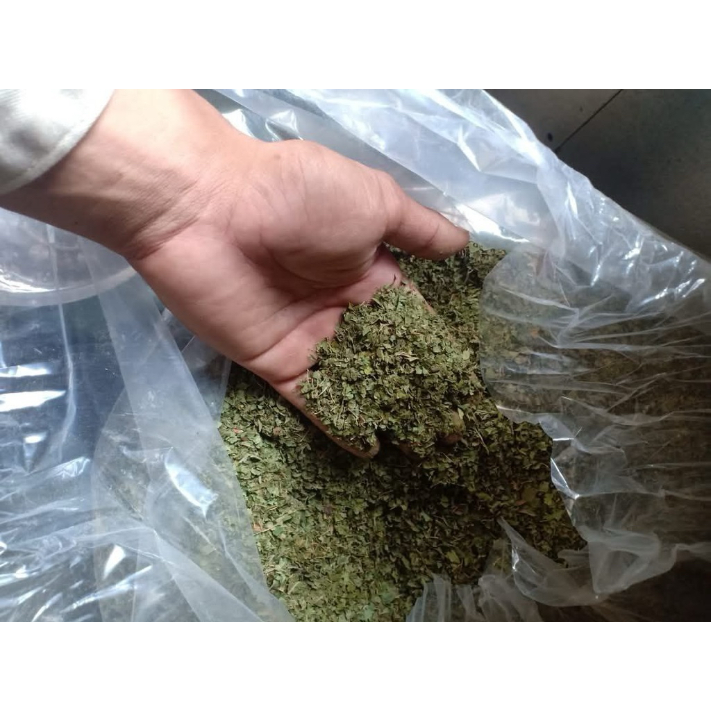 

CUSTOM PO TUBRUK TEH HIJAU KALI MANTAN PRODUK URBAN LEAF