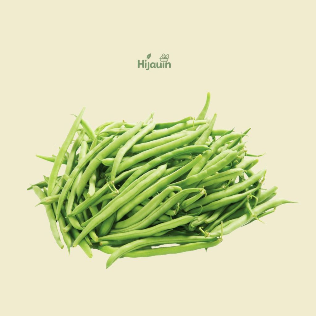 

Buncis Segar/Sayur Buncis 250gr KIRIM INSTANT