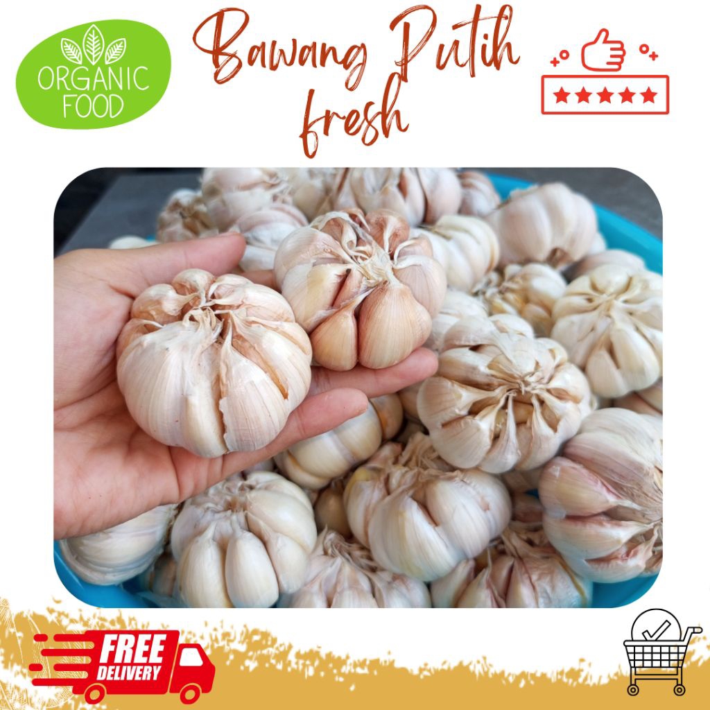 

BAWANG PUTIH FRESH HONAN 1 KG