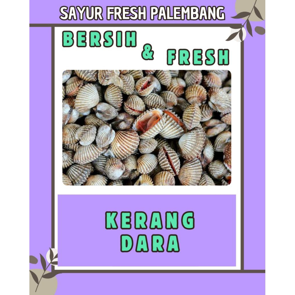 

KERANG DARA FRESH - PALEMBANG