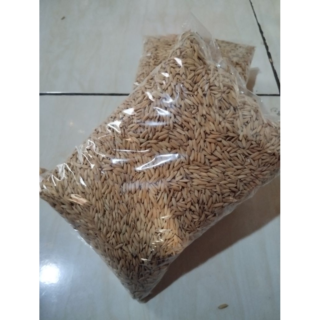 

COD/TERMURAH BENIH PADI KETAN PUTIH GRENDEL SUPER 1 KG