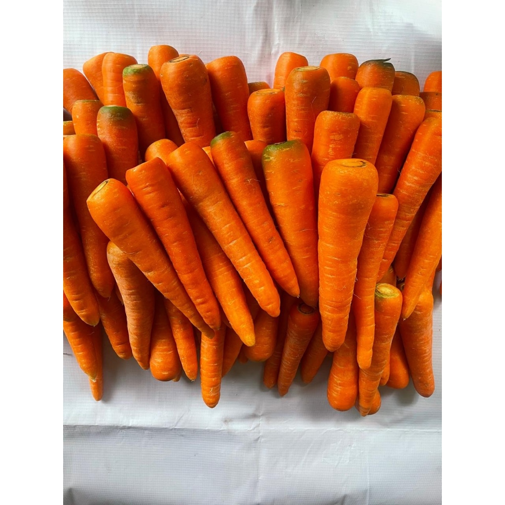 

SMOOTHIEMAMA Wortel Berastagi Super Premium 1 KG