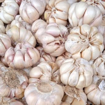 

Bawang Putih Tunggal Bersih Premium kemasan 1kg