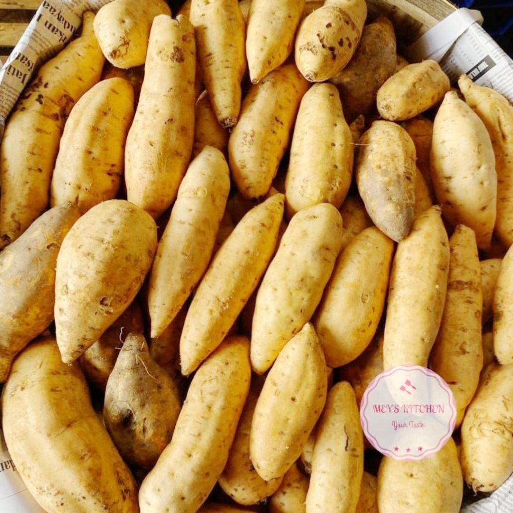 

Ubi Madu Cilembu Mentah Ubi Madu Ukuran Besar Dan Sedang 1 Kilo Asli Tegal