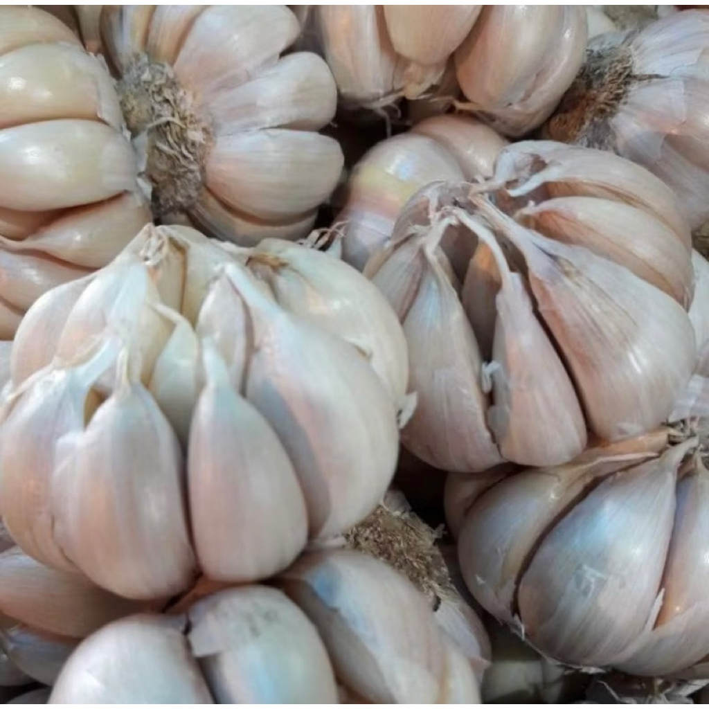 

Bawang putih hunan Banci bersih 1 kg