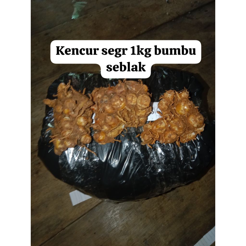 

kencur seger tua tua bumbu seblak 1kg
