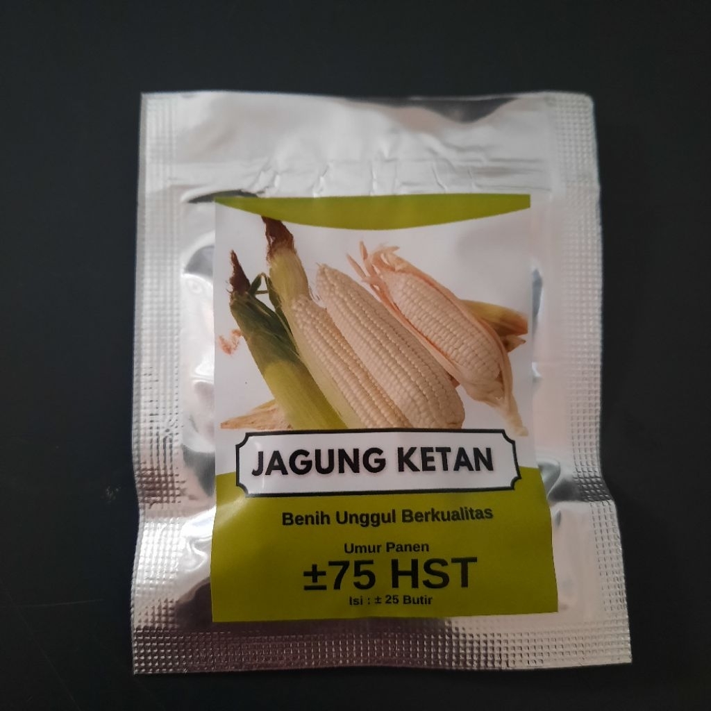 Benih bibit biji Jagung Putih pulut manis  jagung JAGUNG KETAN