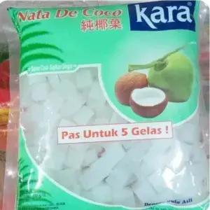 

NATA DE COCO 700 GRAM
