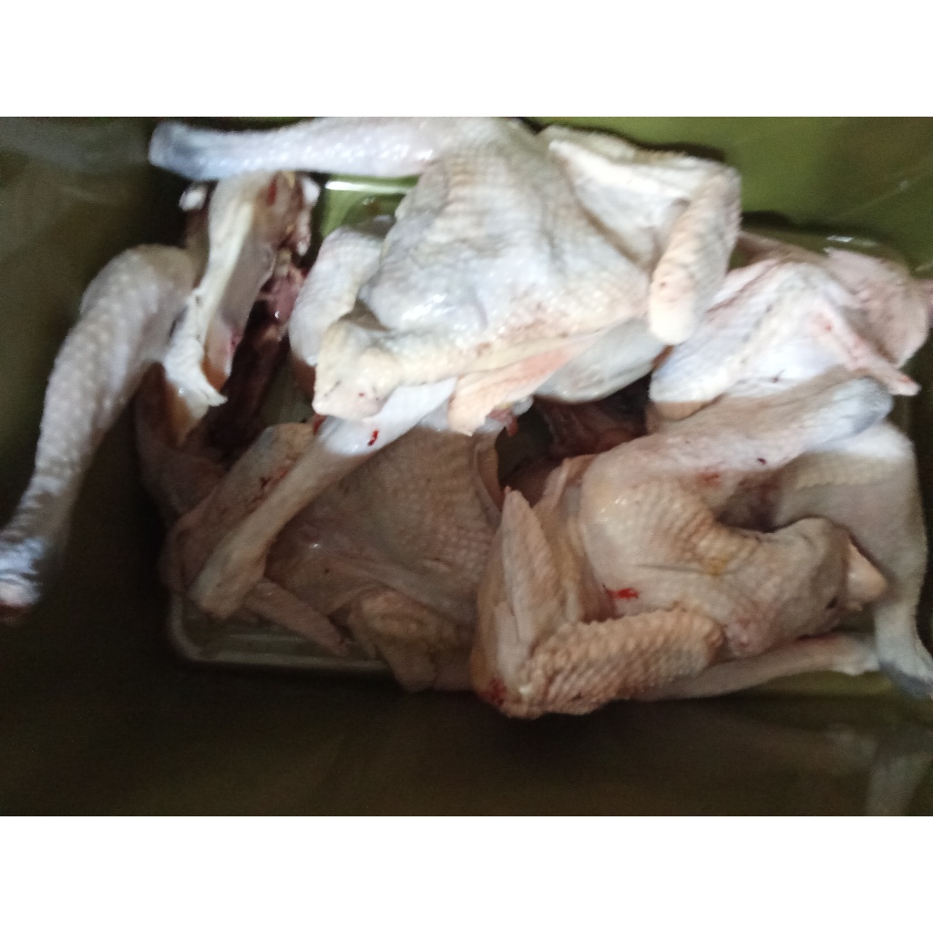 

Ayam Kampung 1 ekor 1,4 kg