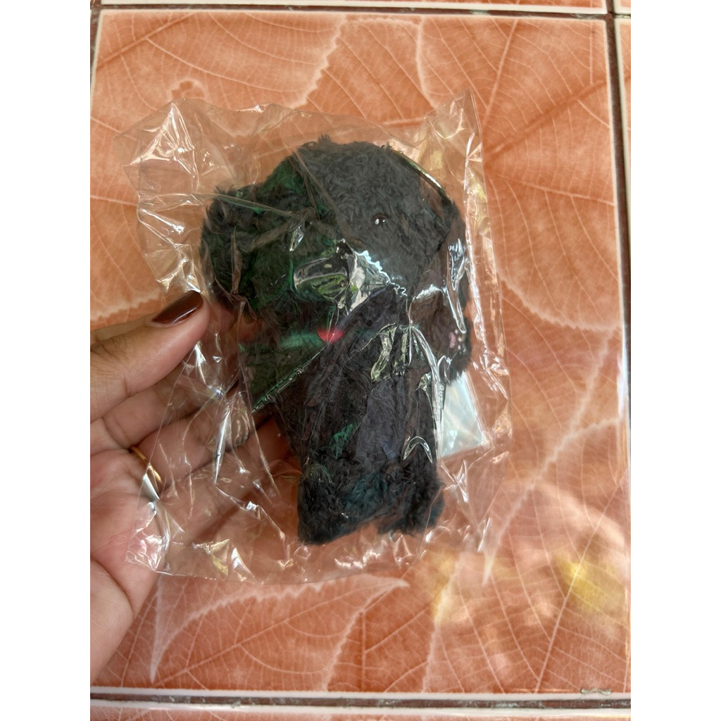 doll keyring toben official SM set photocard chanyeol