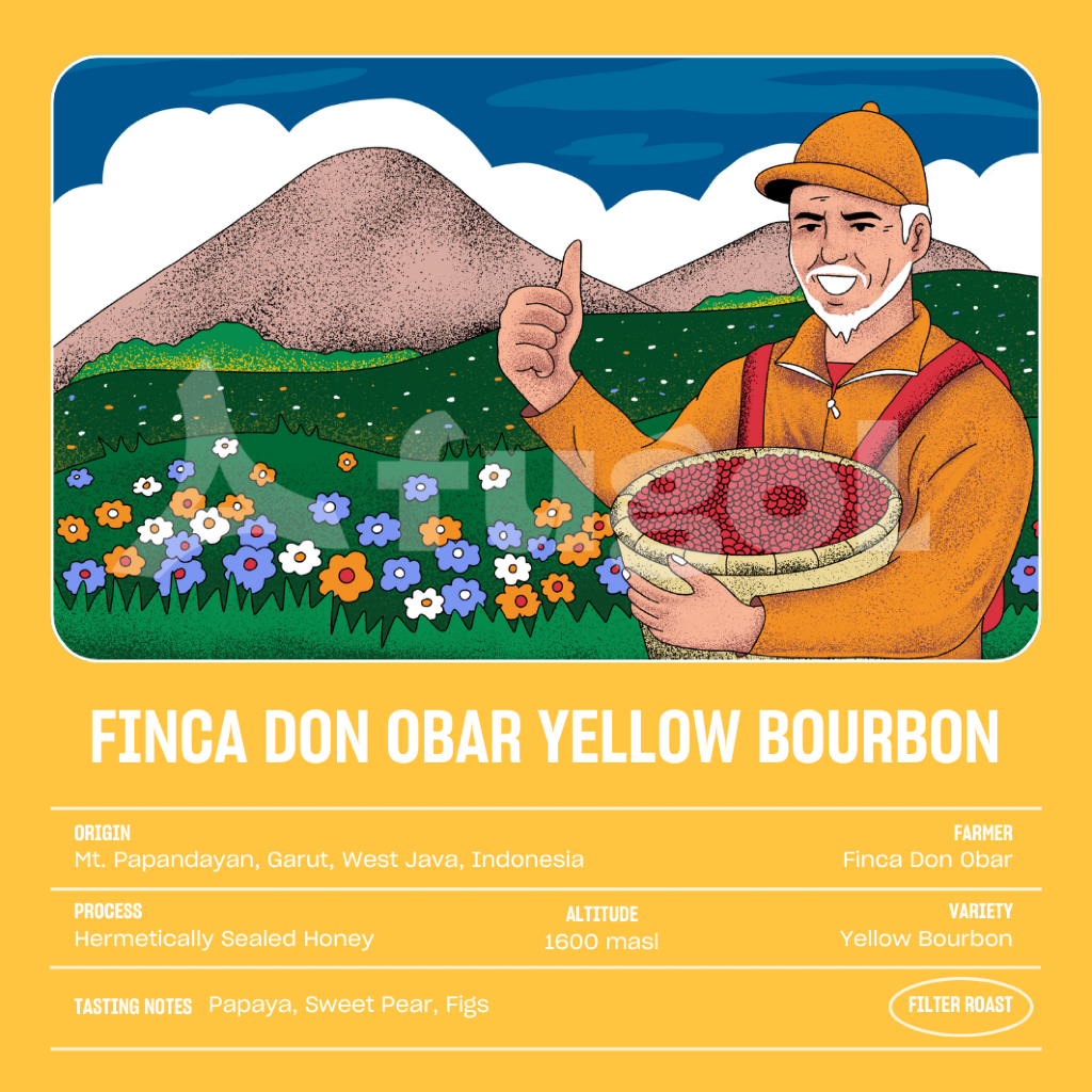 

Biji Kopi Arabica Finca Don Obar Yellow Bourbon (150gr) Specialty Arabica Coffee Beans