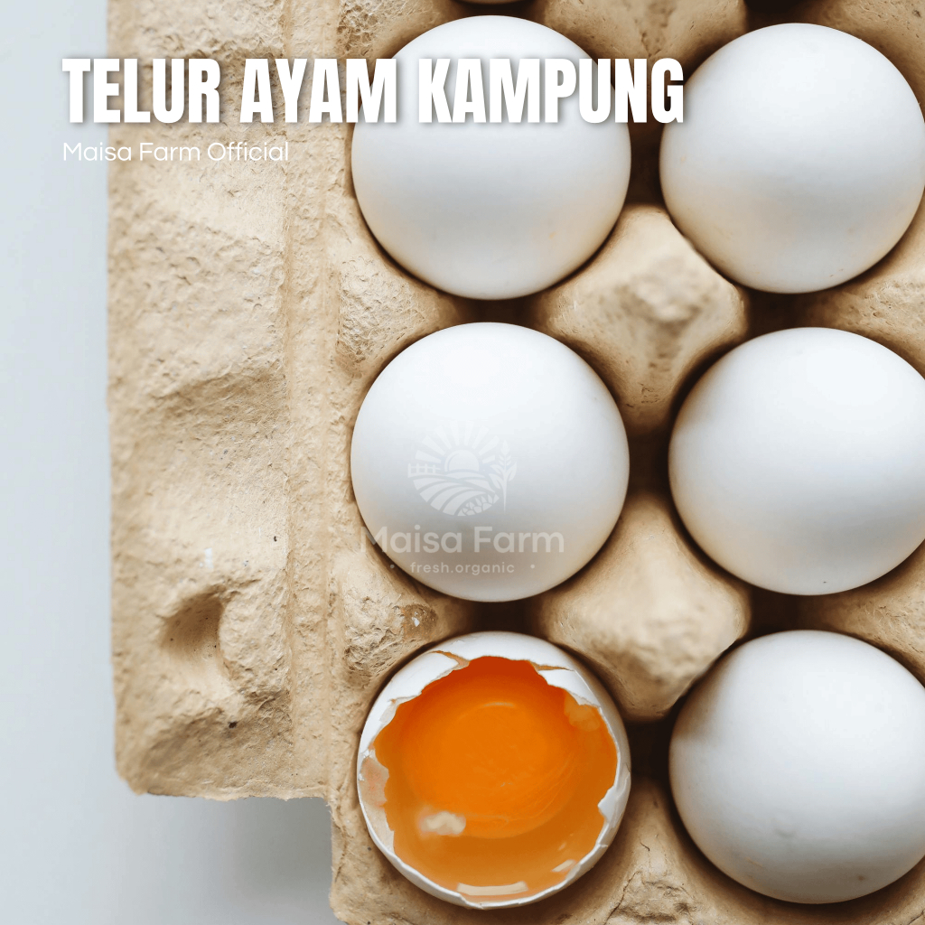 

Maisa Farm - Telur Ayam Kampung Segar 4 pcs