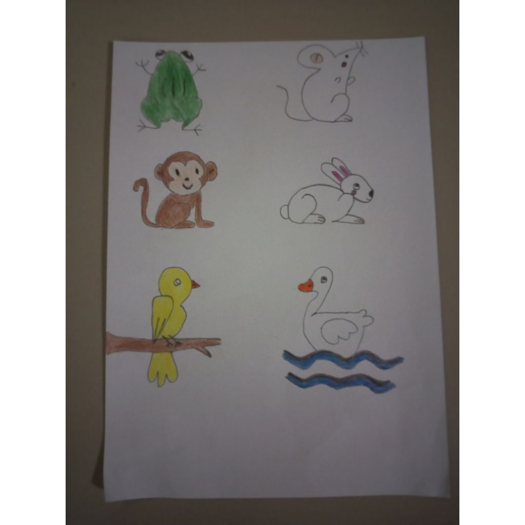 

Macam Macam Binatang