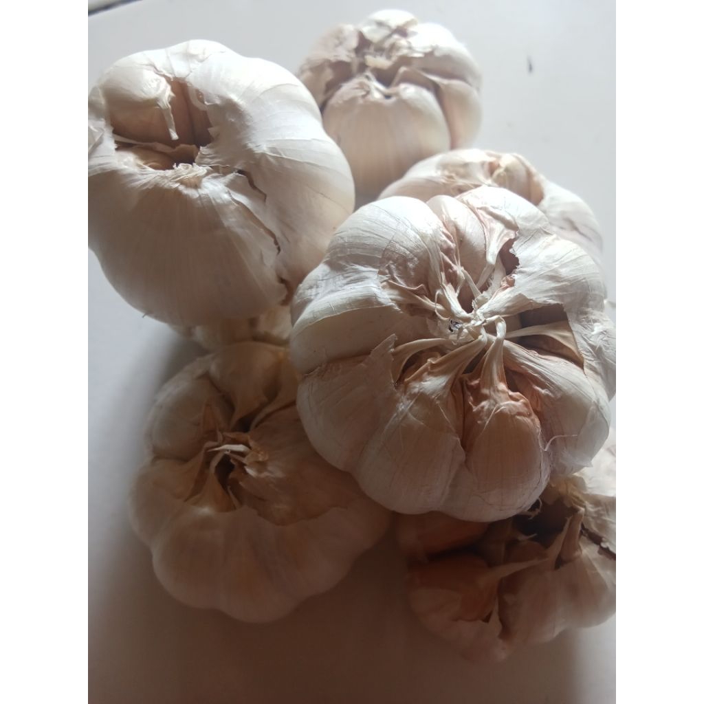 

bawang putih 250g