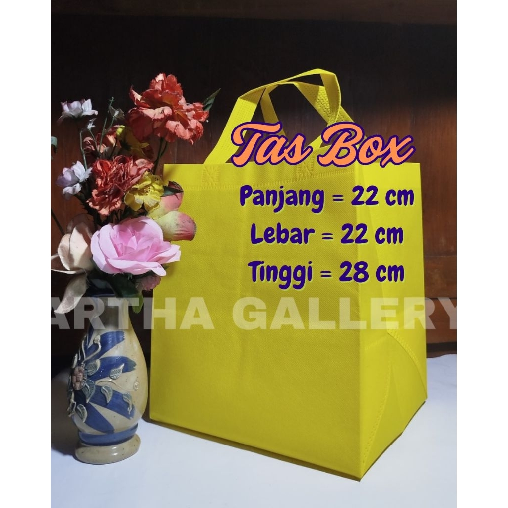 

1 Lusin (12 Pcs) Tas Box 22x22cm Tinggi 28cm / Tas Hajatan / Tas Spunbond / Goodie Bag / Tas Ramah Lingkungan