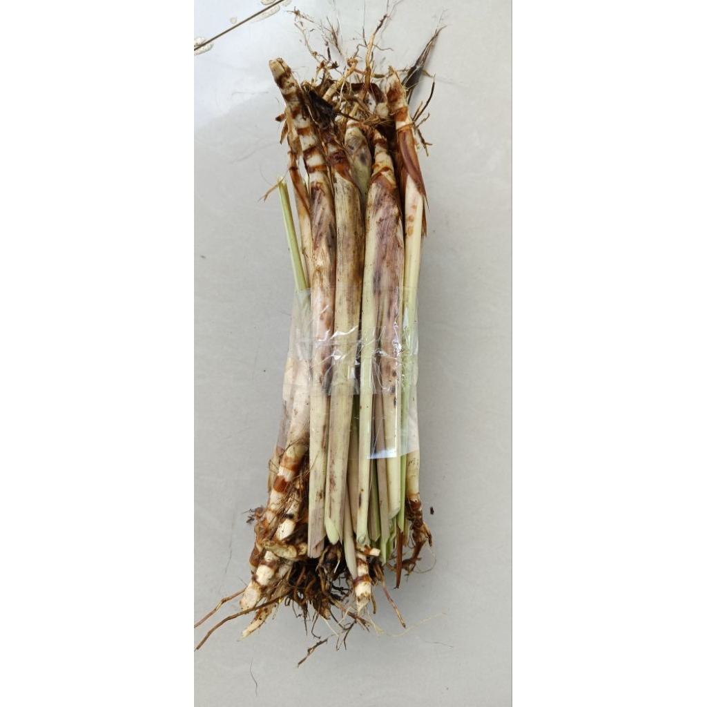 

Sereh wangi pres sereh lanang serai merah 1kg