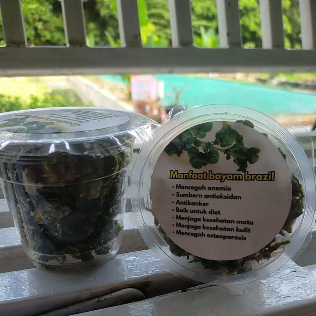 

keripik bayam Brazil