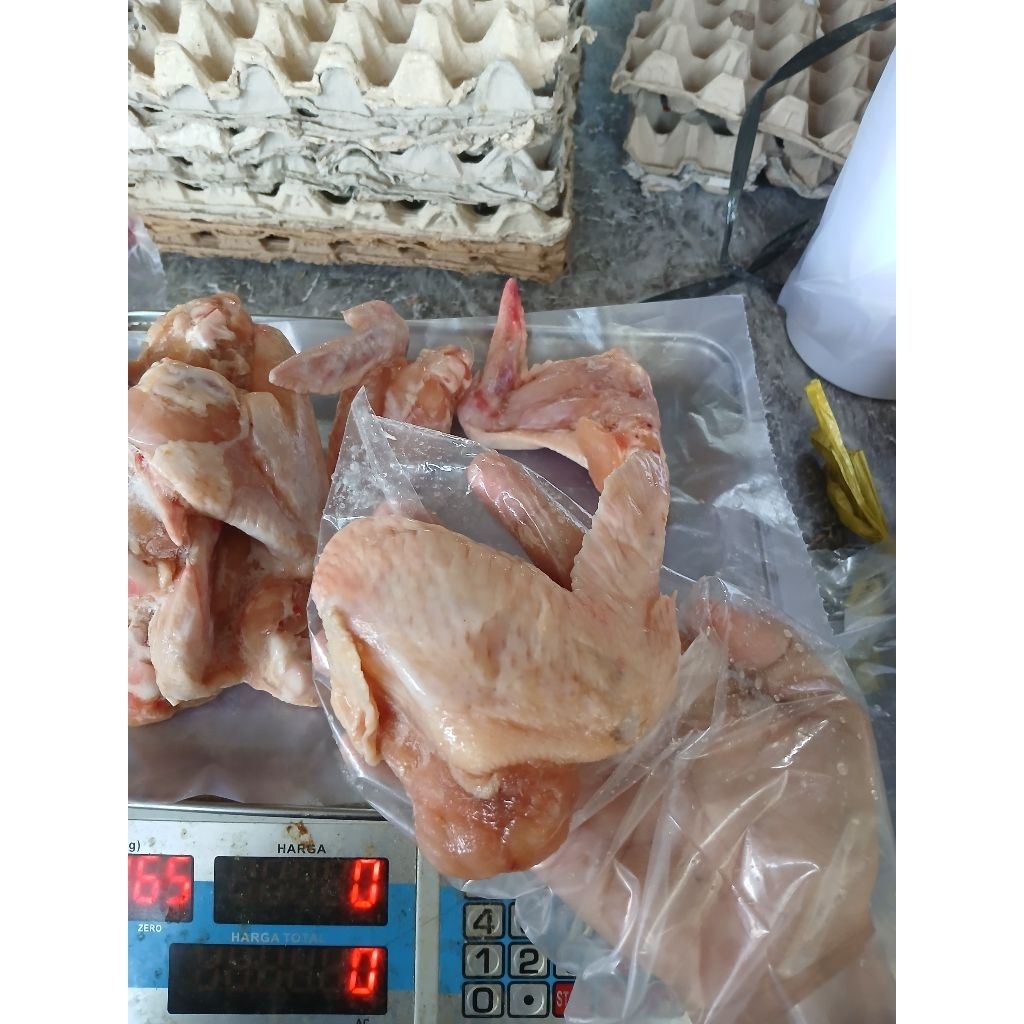

sayap ayam utuh fresh 1kg halal
