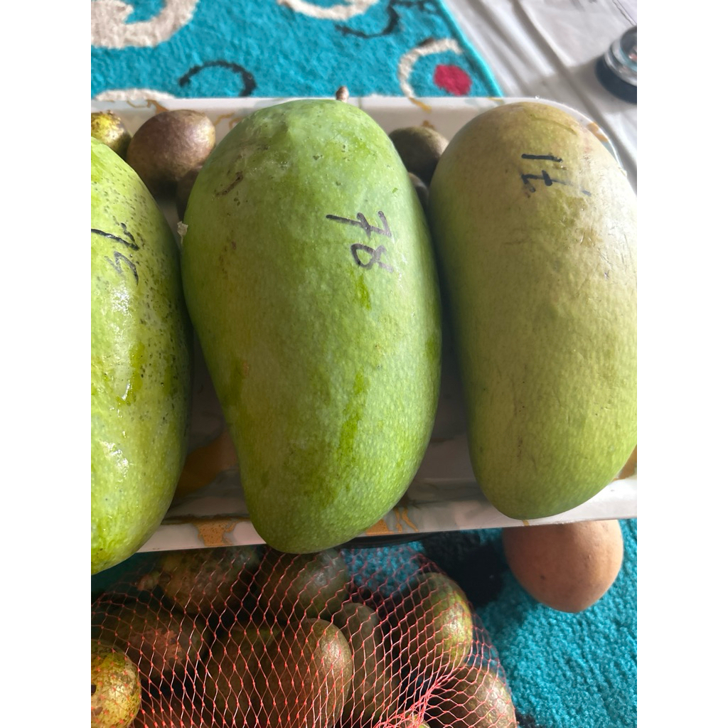 

MANGGA KIOJAY 1000 gram