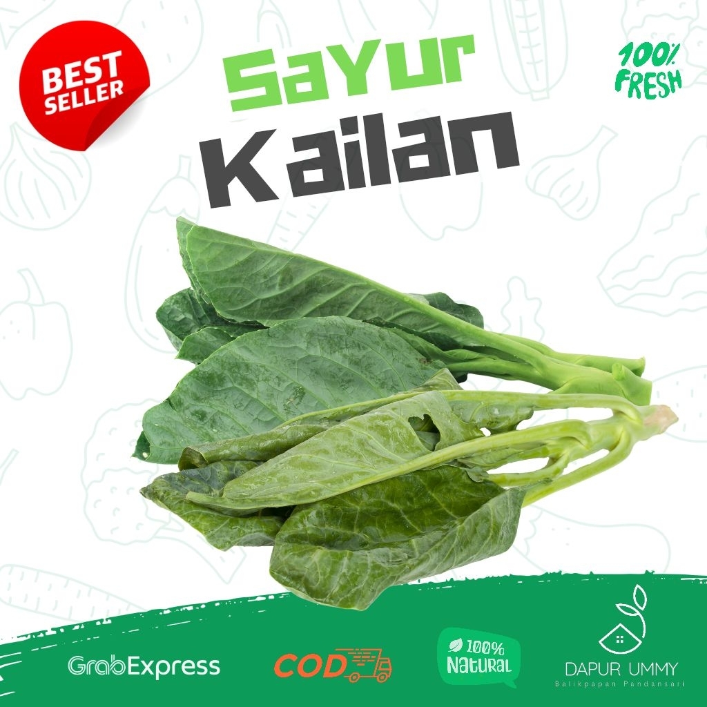 

SAYUR FRESH • Sawi Kailan • Batang Besar