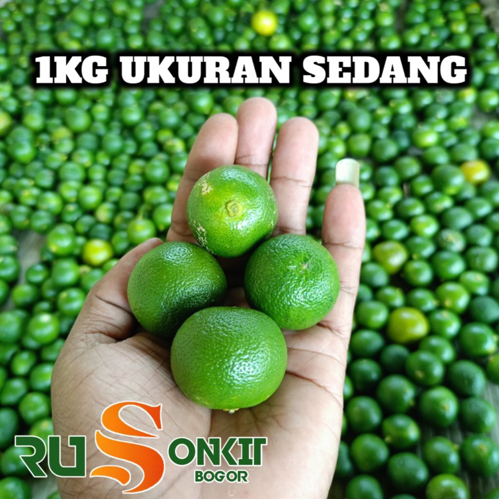 

1kg jeruk peras jeruk kasturi jeruk cui jeruk kastrui lemon cui