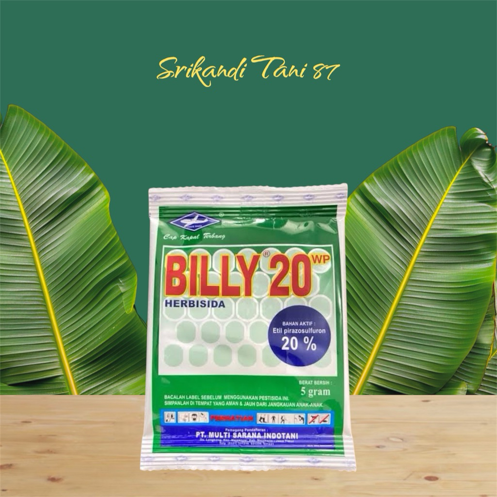 Herbisida BILLY 20 WP 5 Gram