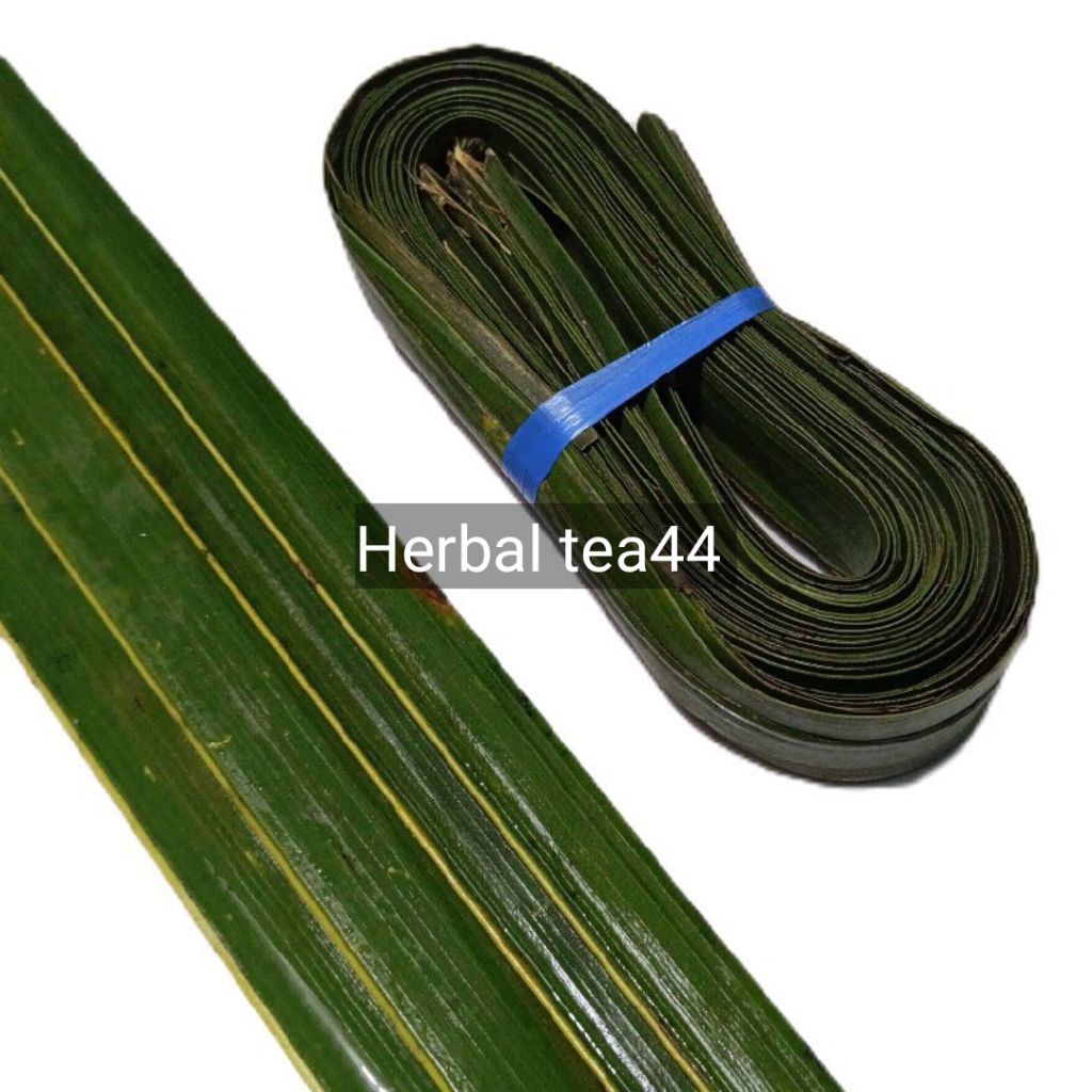 

Daun kelapa hijau tua segar tanpa lidi paket 50 lembar