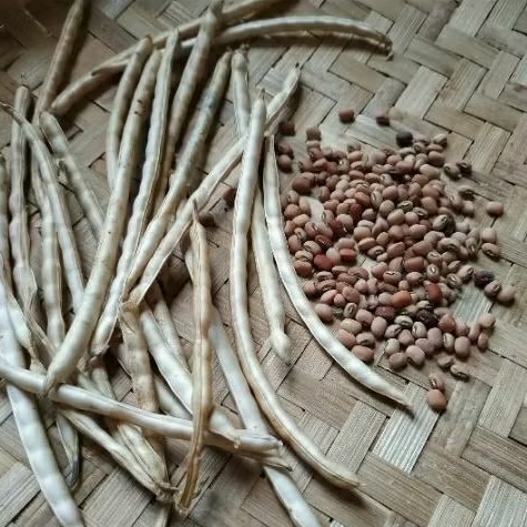 

kacang tolo1kg, kacang tunggak, kacang tolo lokal, kacang sayur krecek