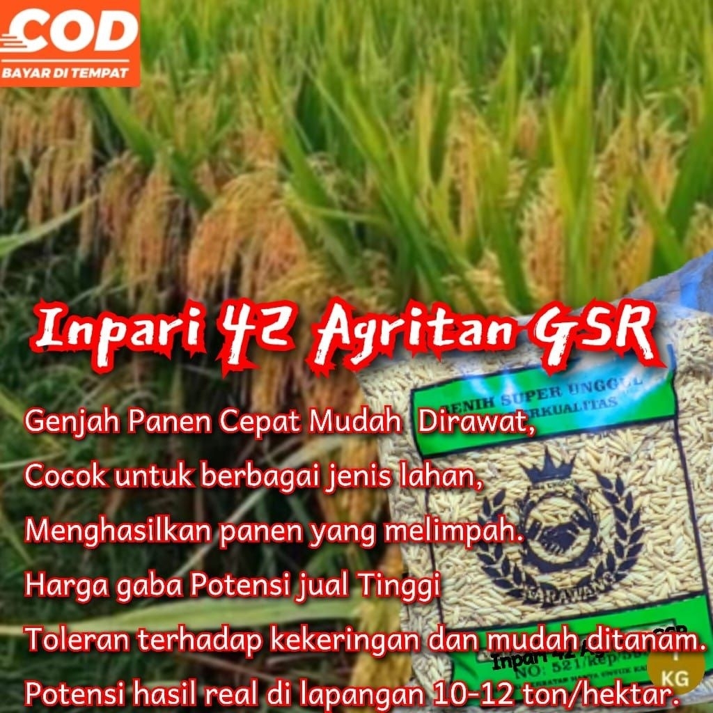benih padi Inpari 42 Agritan GSR(1kg)