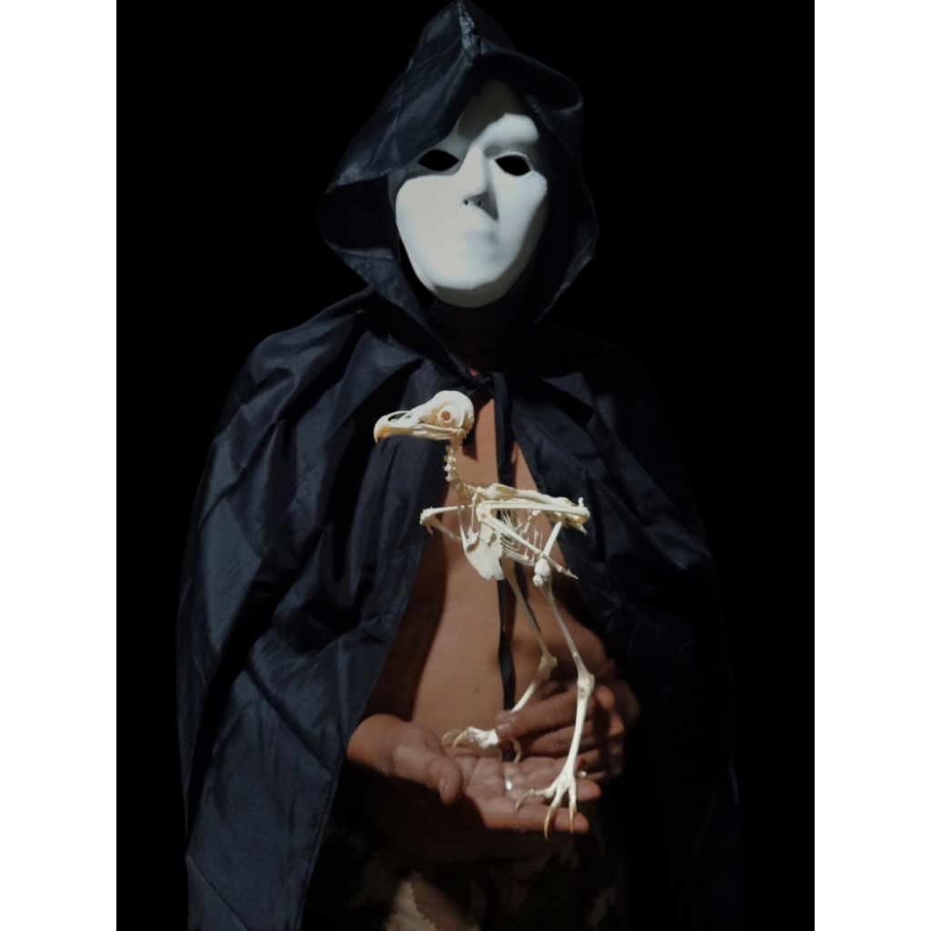 #6004666 Taxidermy Awetan Skeleton Tyto Alba