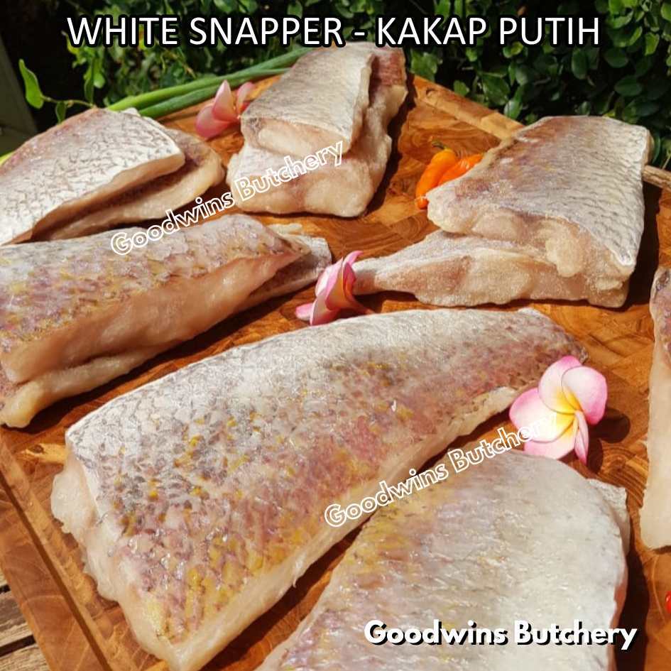 

WHITE SNAPPER fish fillets steak frozen IQF GLZ-20/30 | Ikan KAKAP PUTIH beku