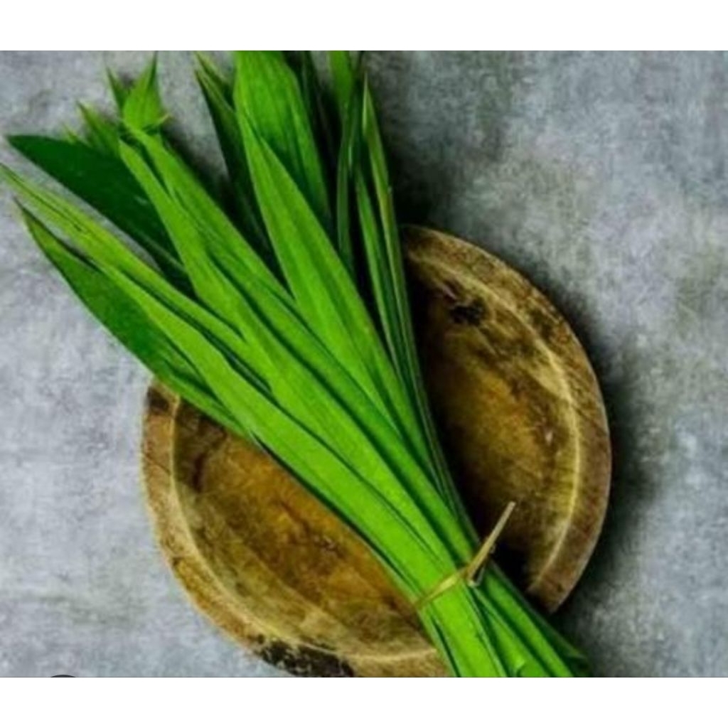 

Daun pandan segar organik 50 lembar petik langsung-az