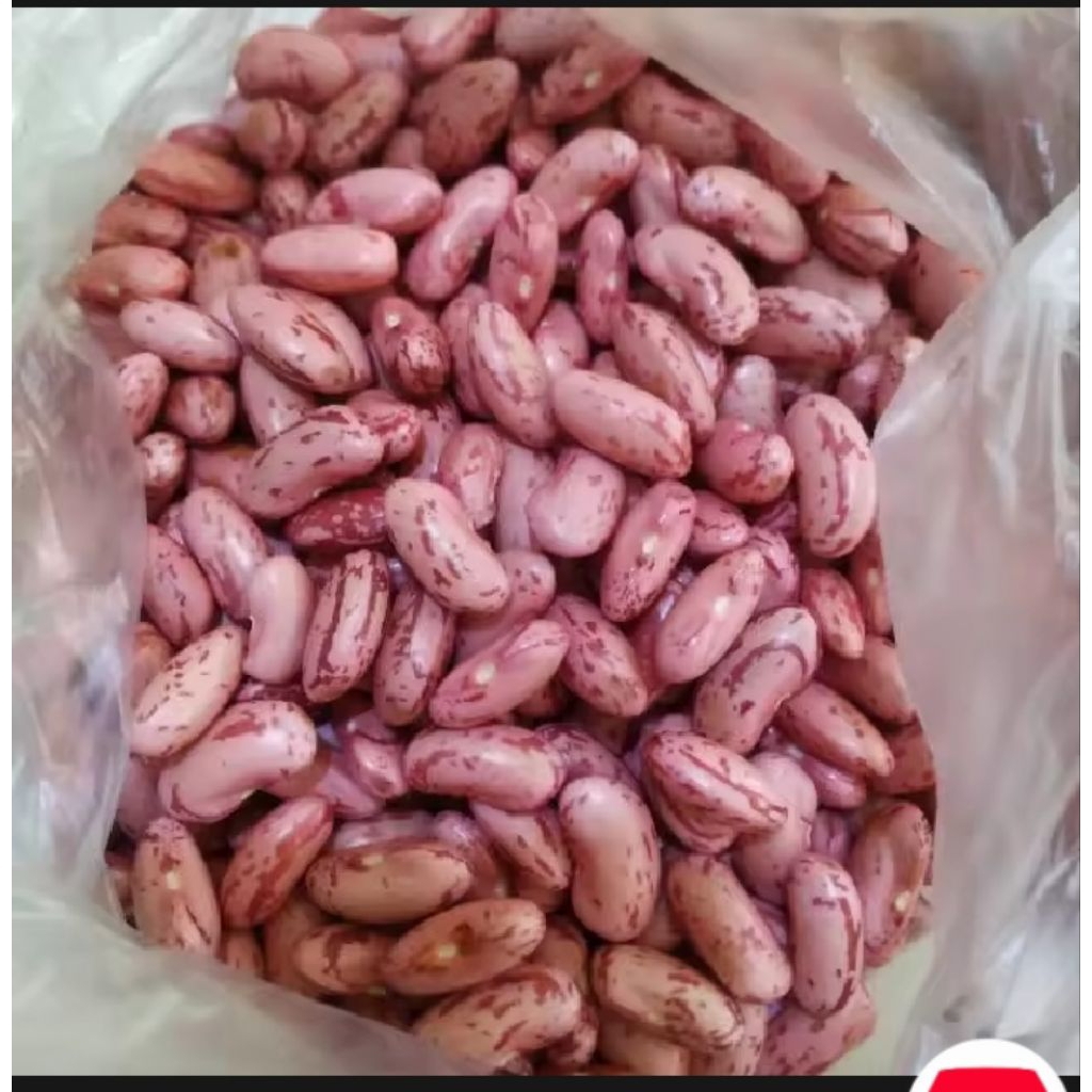 

kacang merah segar 250g