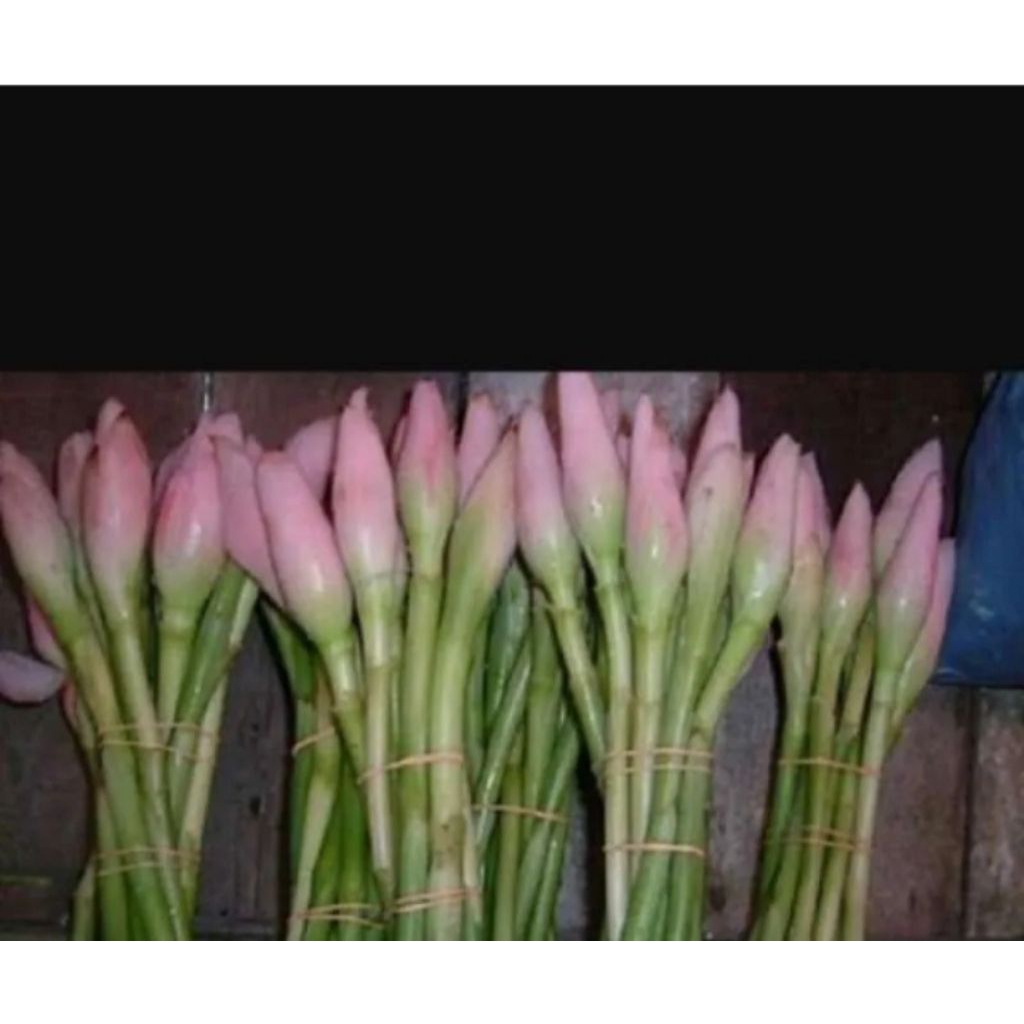 

selling vegetables sayuran segar