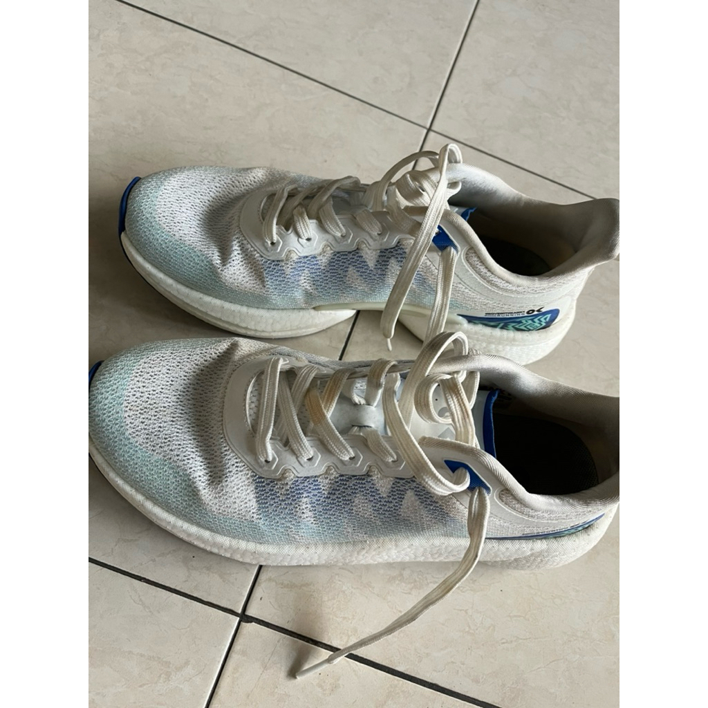 kanky story shingen size 43