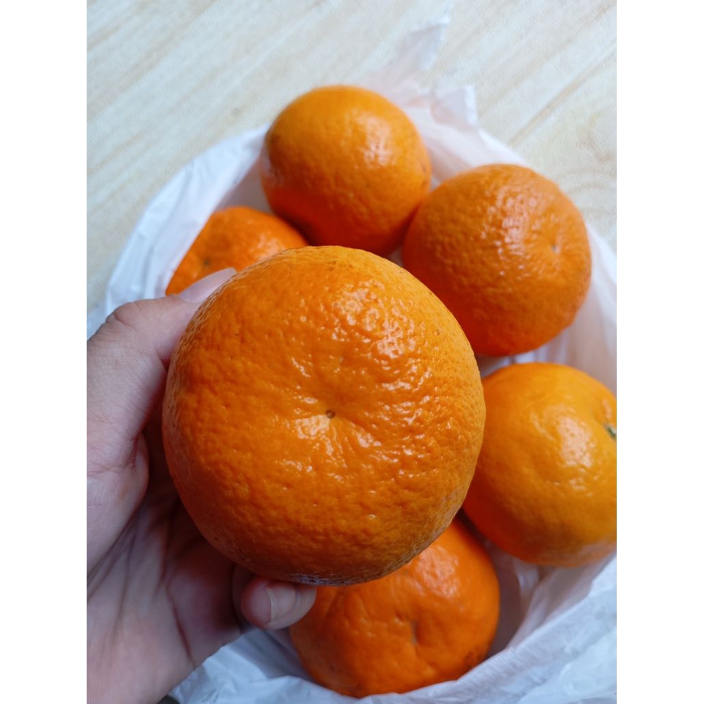 

Jeruk wogan murcot 1kg buah import 1 kg kilo