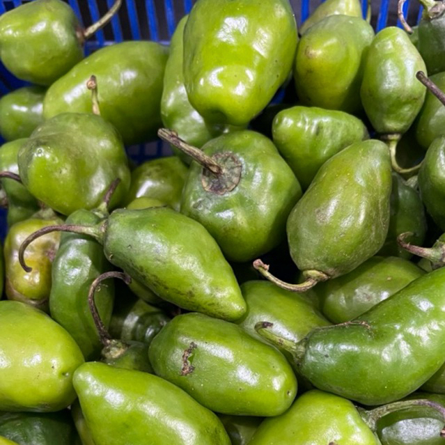 

Cabai Cabe Gendot 1 kg | Promo Sayur Murah | Fresh Buah Amanah