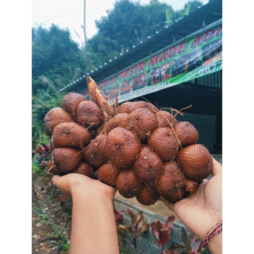 

salak gula pasir bali