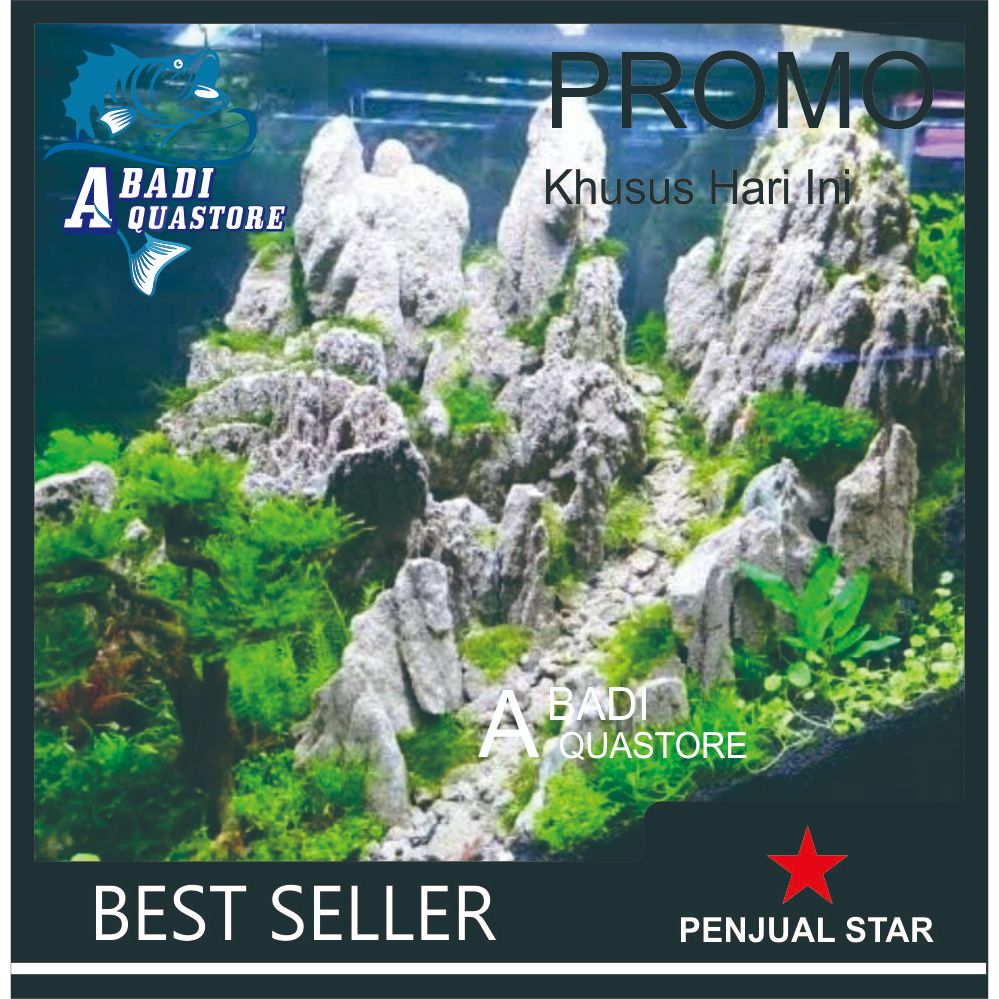 BATU AQUASCAPE PASIR | BATU AQUASCAPE | BATU AQUARIUM | BATU TANAMAN