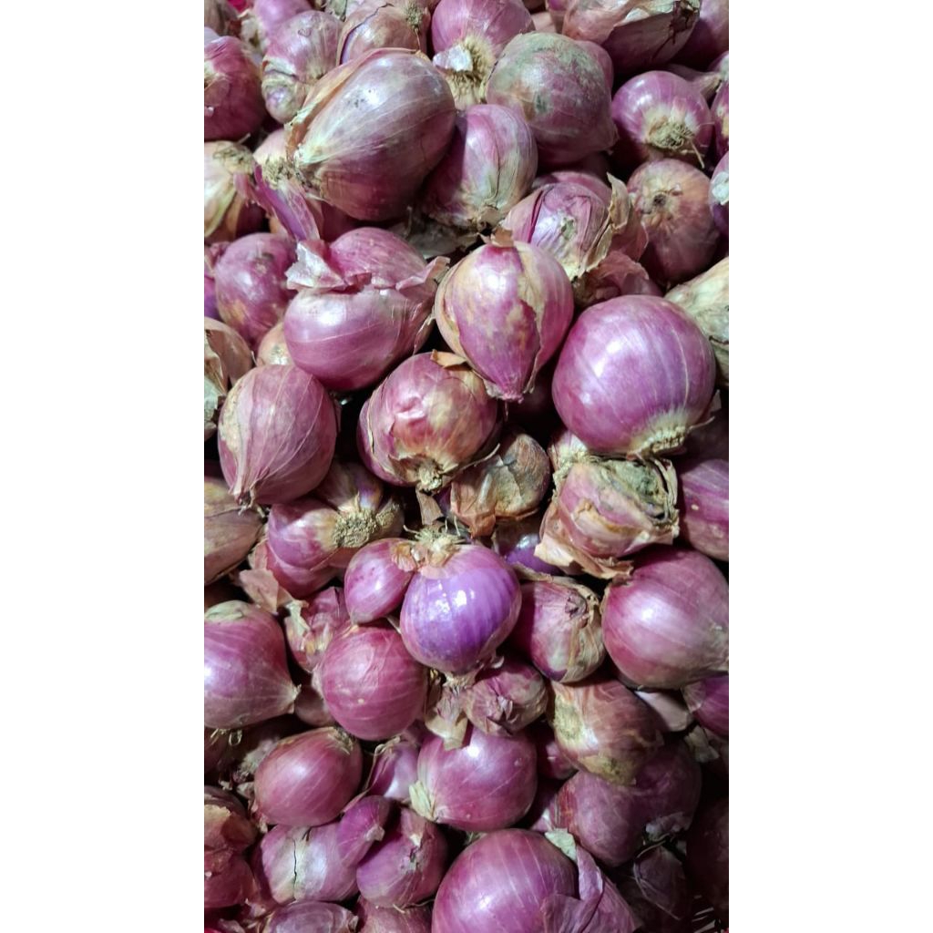 

bawang merah 500 gram