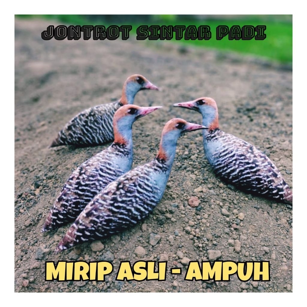 PATUNG JONTROT BURUNG SINTAR PADI - JONTROT BURUNG SINTAR PADI