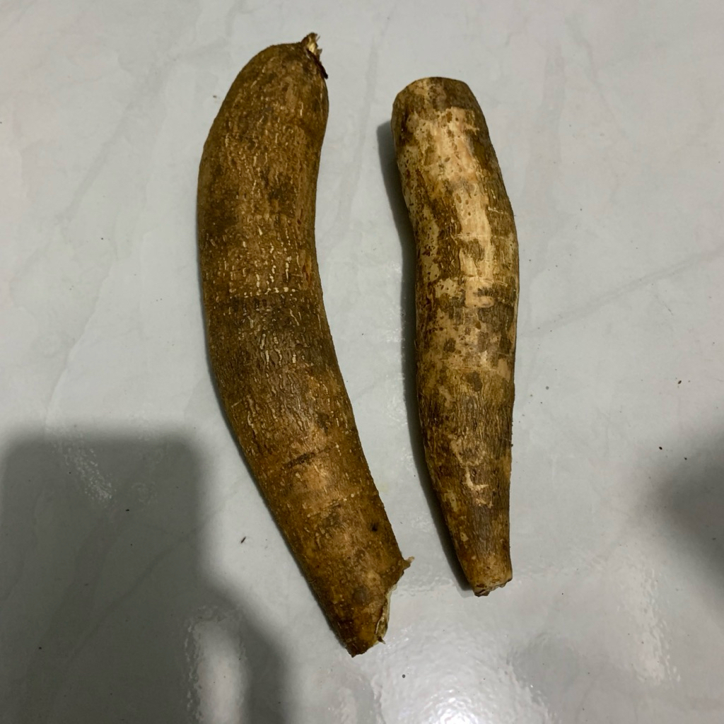 

Singkong segar pres alami panen langsung paket per 1kg.