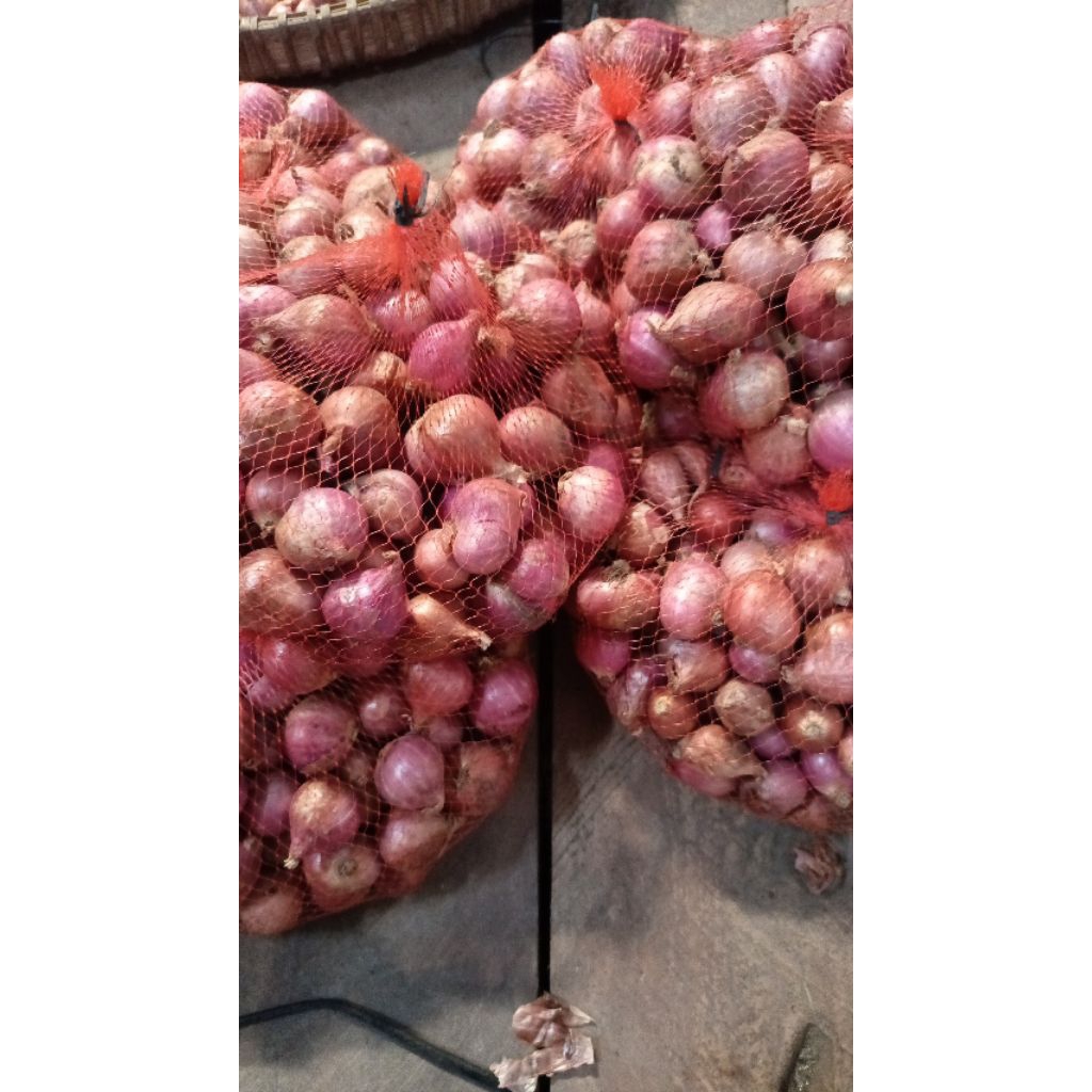 

BAWANG MERAH BIMA NTB KWALITAS EXPORT SUPER