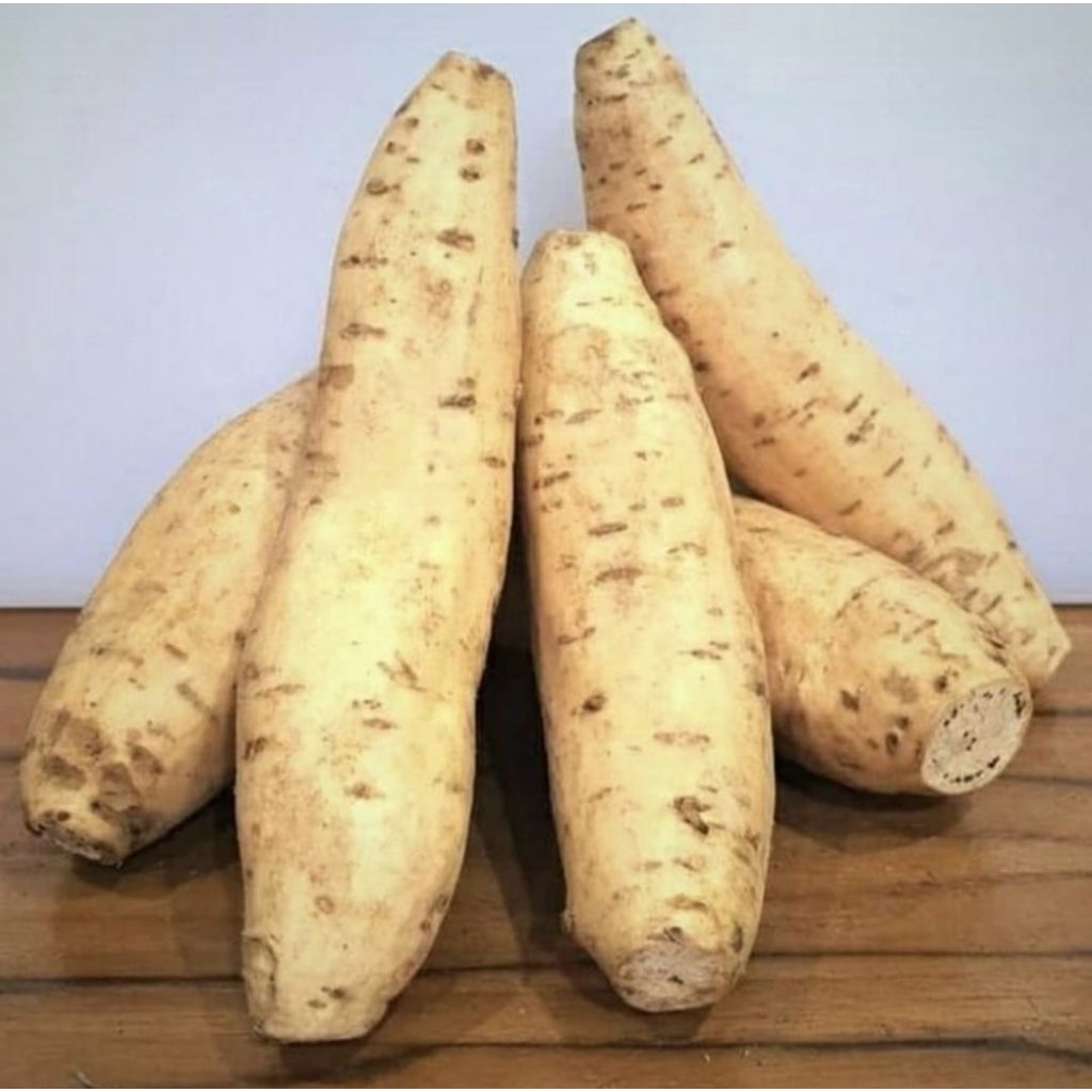 

ubi cilembu segar 1 kg