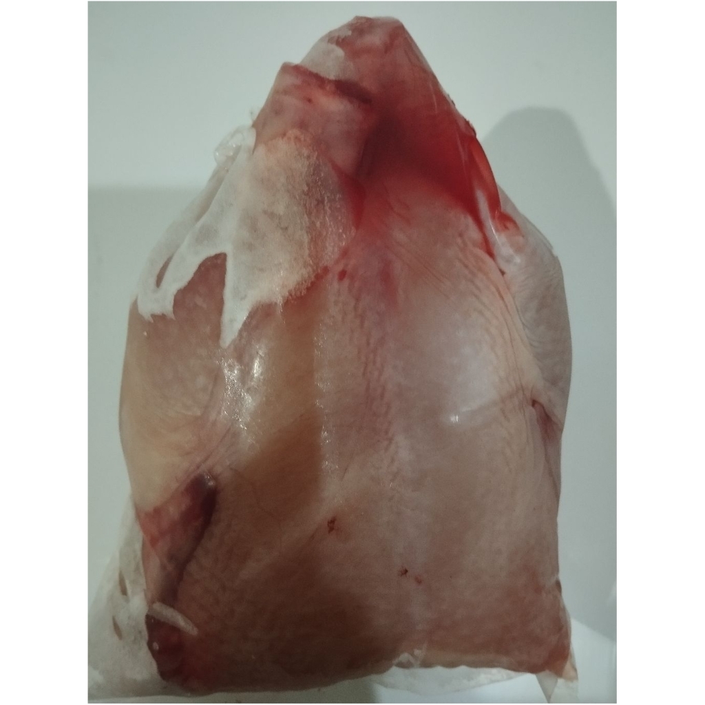 

Ayam Broiler Karkas 700-800gr