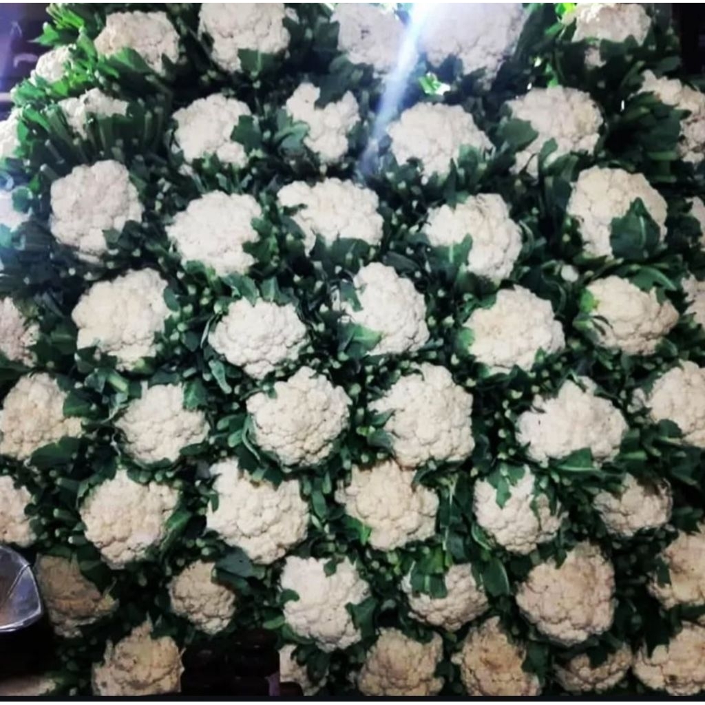 

kembang kol 500grm/1kg